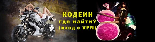 сатива Кинешма