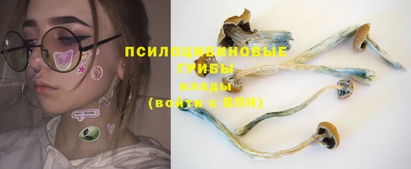 сатива Кинешма