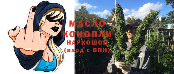 сатива Кинешма