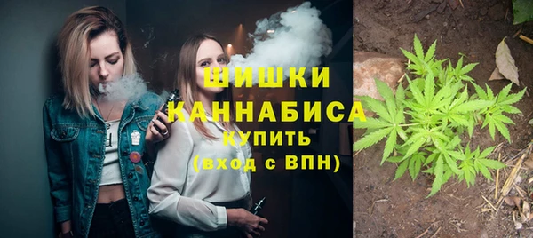 сатива Кинешма