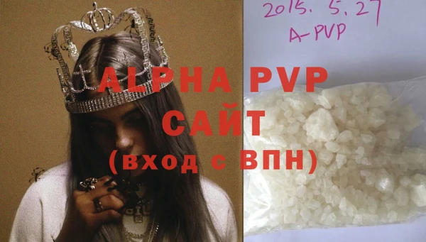 сатива Кинешма