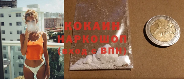сатива Кинешма